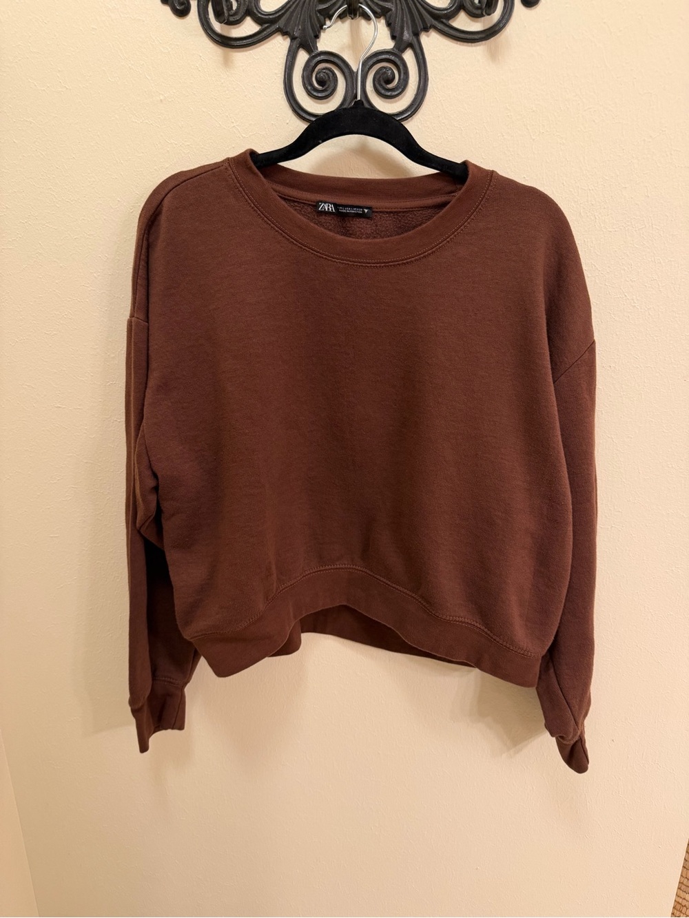 Zara Chocolate Brown Crewneck Sweatshirt